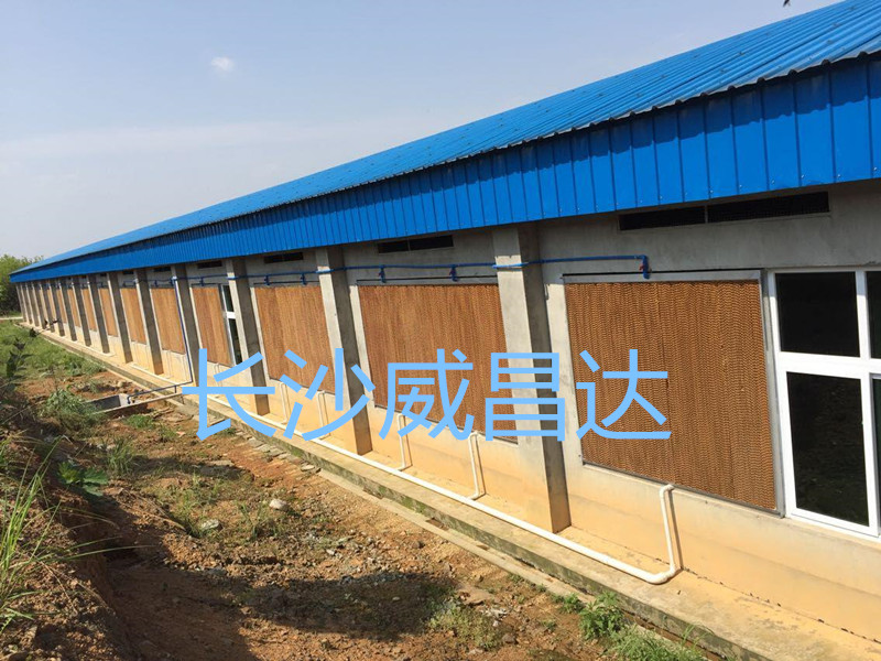 夏季烧烤模式开启，您的养殖畜禽舍降温了吗？湖南水帘风机专业为养殖畜禽舍降温