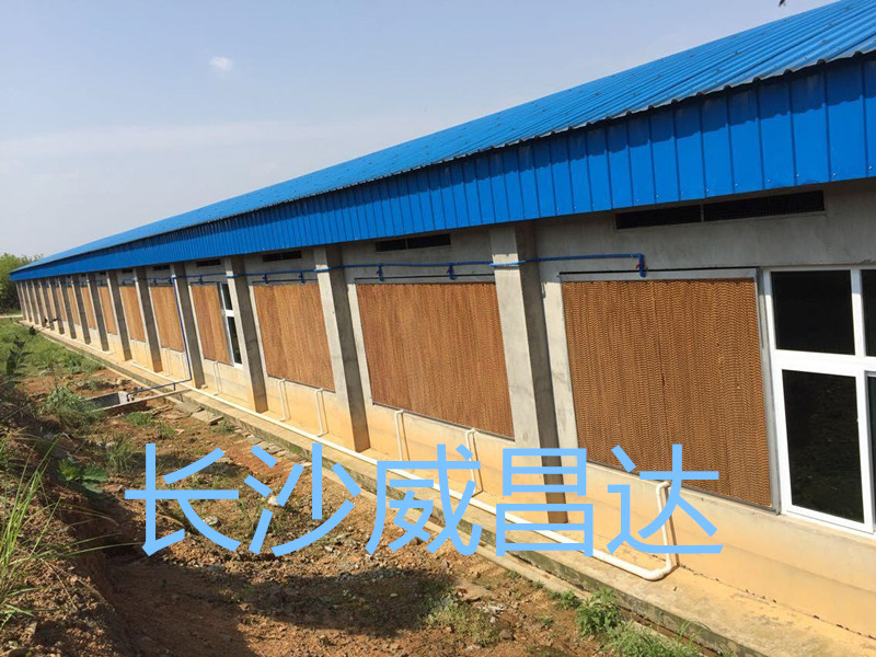 水帘风机,湖南水帘风机